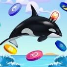 Whale Alert