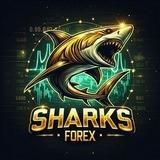 Sharks Forex