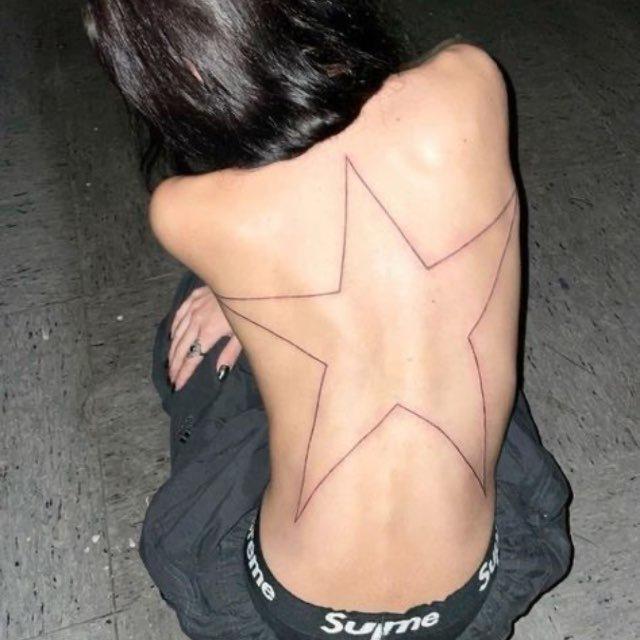 C₂₁H₂₃NO₅
