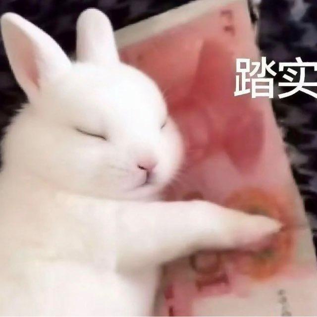 粥窝（备用频道）