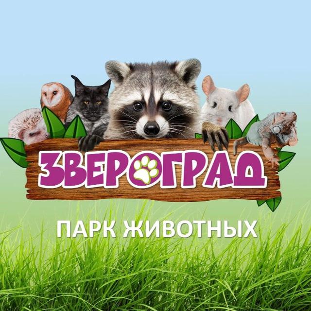 ЗВЕРОГРАД 🦝 /_zverograd_kmv