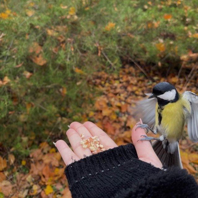 Jî ♡︎