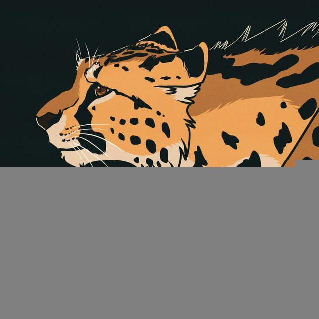 Mithmeoi Art