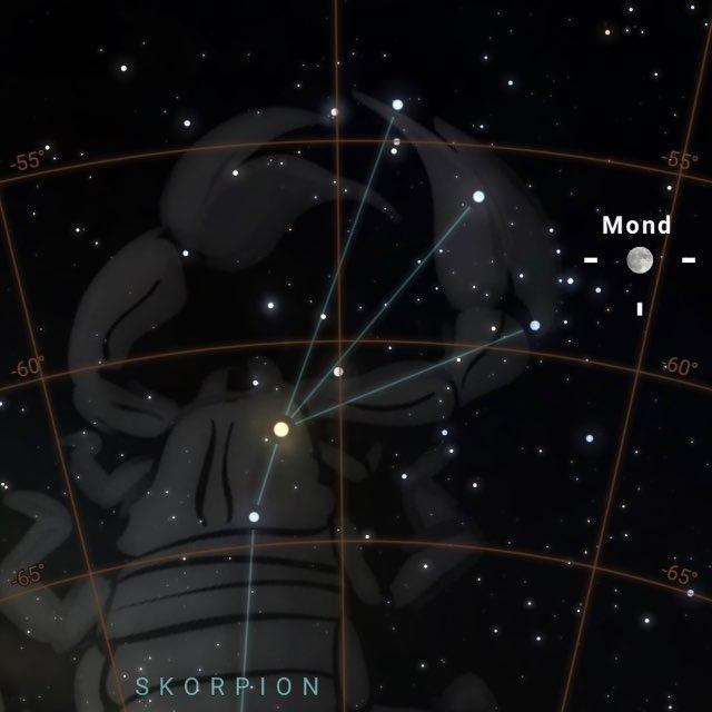 Vedic Astrology Alchemy — deine Berufung