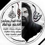 قناة الامام علي "؏"