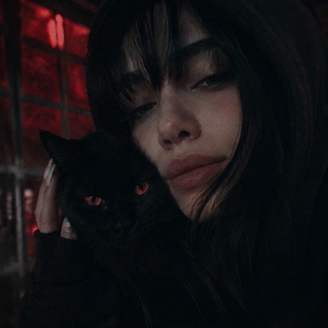 Black CAT 🐈‍⬛