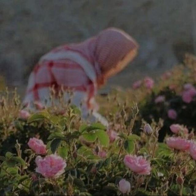 قناة التوحيد