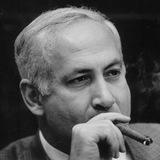 The Bibi Files