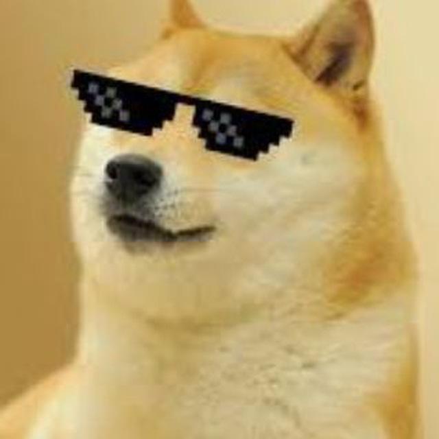 Doge Trader 📈