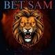 MR SAM