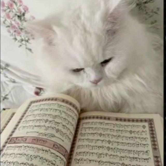 اجر 🪶🤎