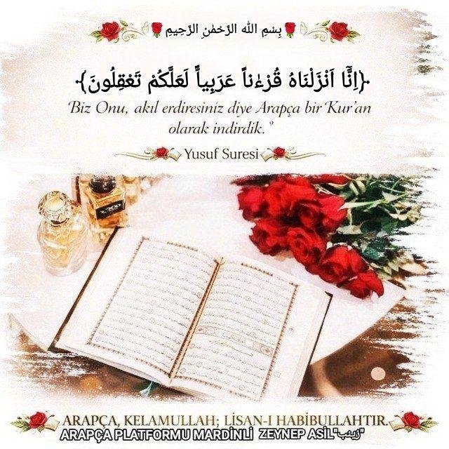 𝐀𝐑𝐀𝐏𝐂̧𝐀 𝐃𝐄𝐍𝐄𝐌𝐄𝐋𝐄𝐑 𝐓𝐄𝐒𝐓 𝐏𝐋𝐀𝐓𝐅𝐎𝐑𝐌𝐔💐📚🌍