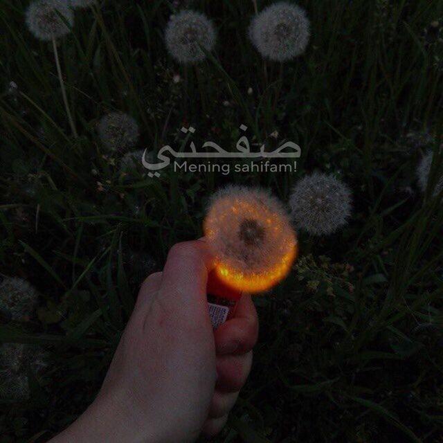 *Safhati | صفحتي
