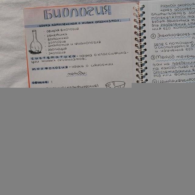 конспекты | оформление