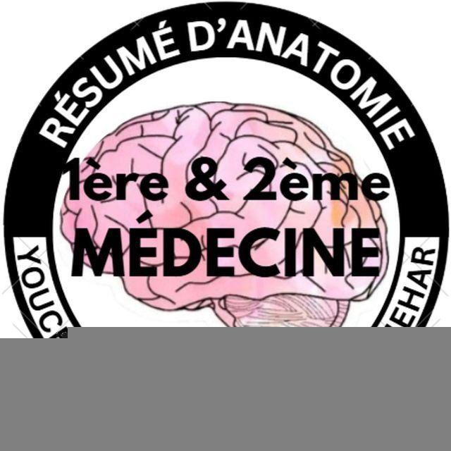 ✨Youcef & Islam's résumés✨