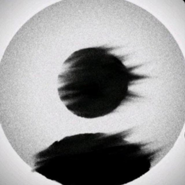 لمنع اندثار الحياء