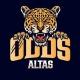 Atlas tips