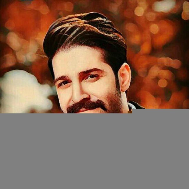 حمید هیراد