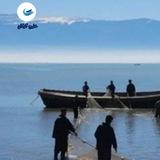خلیج گرگان