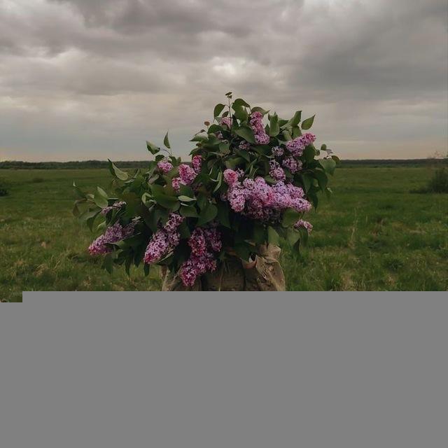 سلمىٰ .