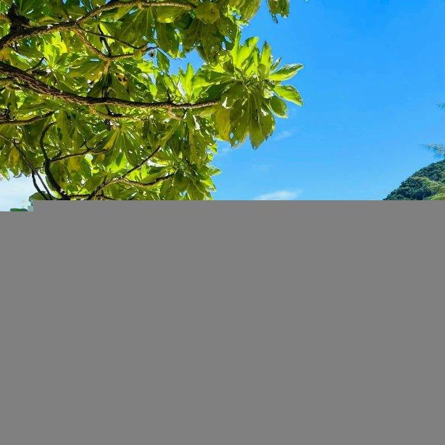 TẠP HOÁ VIỆT TẠI SANTA ANA-CAGAYAN