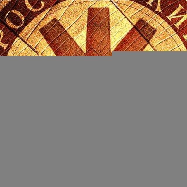 Российский сигарный союз