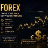 Tín Hiệu Vàng forex 💲