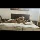 SL cuckold life