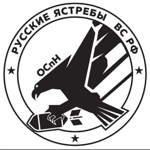 ОСпН РУССКИЕ ЯСТРЕБЫ ВС РФ