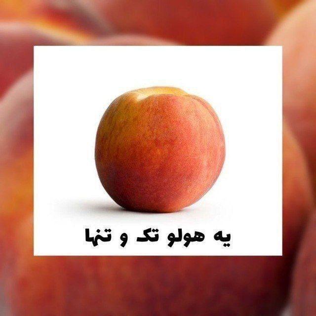 آرشیو ۱۴۰۴