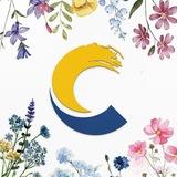 Детский центр «Созвездие» - лучший лагерь страны 2026