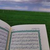 صوتيات دينية🌱.