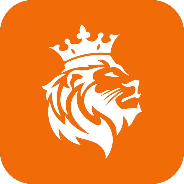 Lion Lottery Team