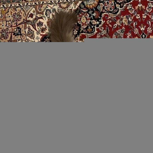أثَر زَينب .