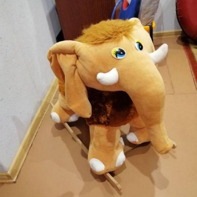 skamim zavodim