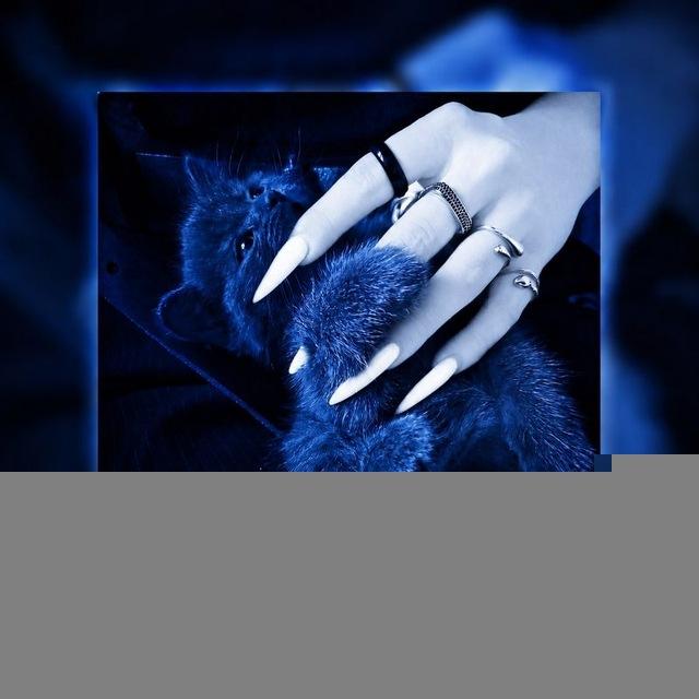 ㅤ𖡡‌𝐑ᴀɪᴛᗩᴊ➛ʀᴏᴏᴍ𖡡‌ㅤ ㅤ