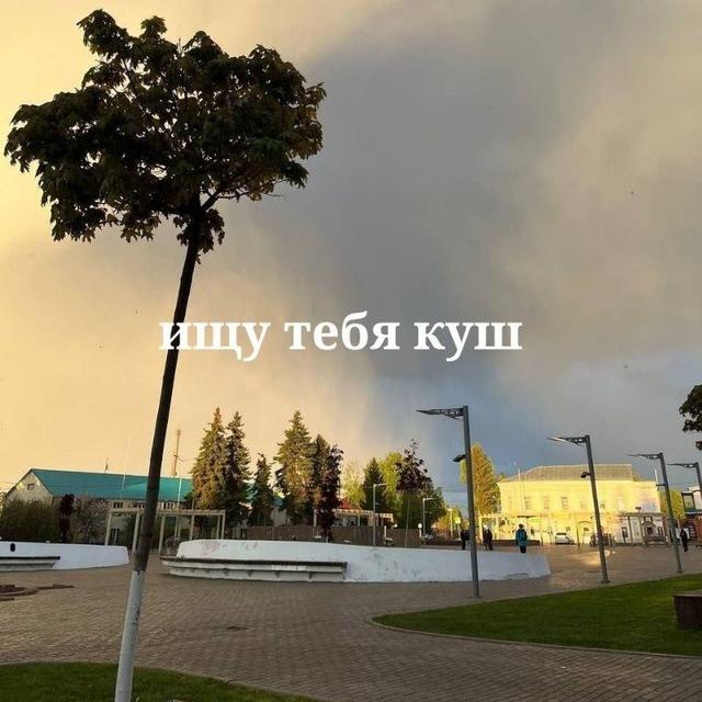 ищу тебя куш 💋🌸