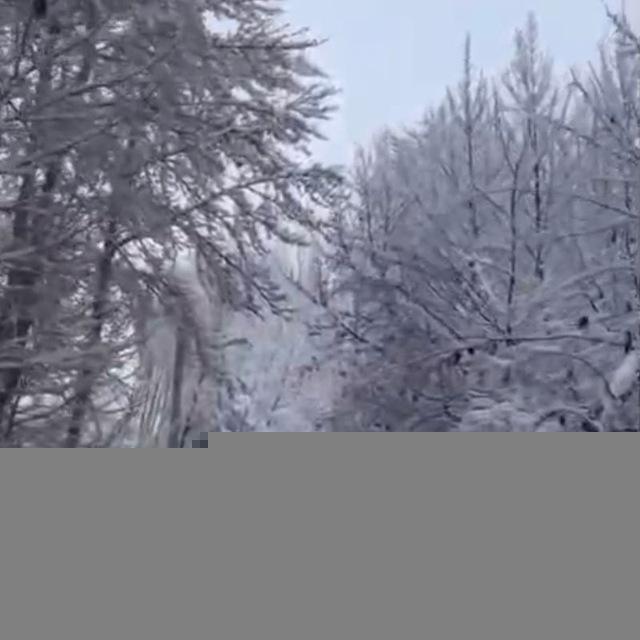 کانال اطلاع رسانی مهارت آموزان ماده ٢٨