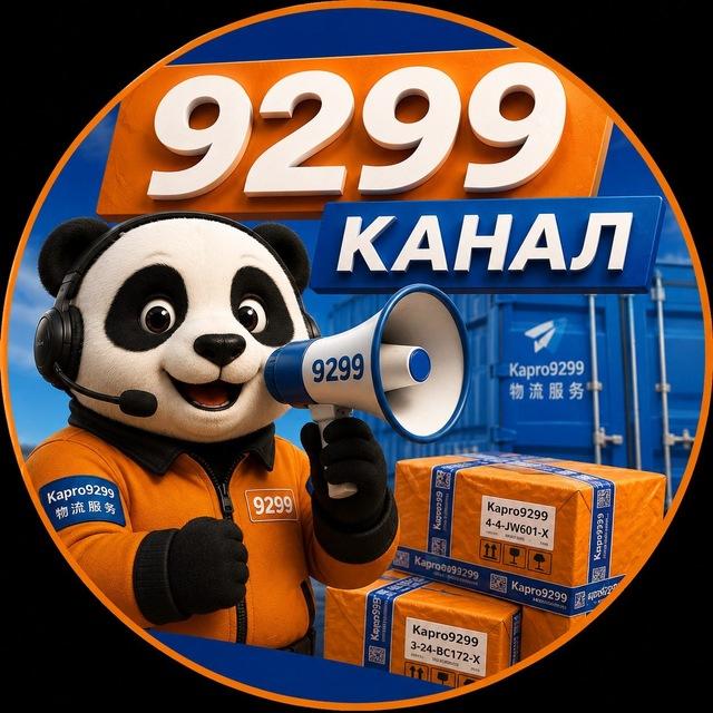 Доставка из Китая | КАРГО 9299