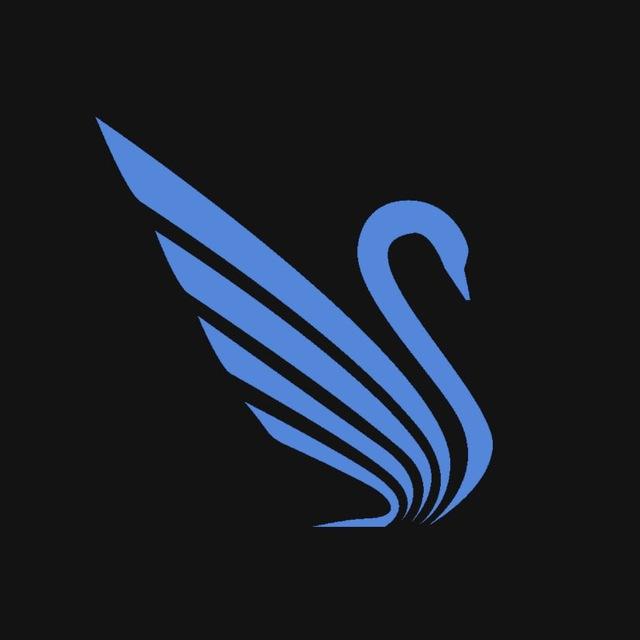 🦢 Swan Gateway
