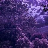 ᯓ𝁘ໍ𓆰𝑶𝒕𝒑 𝑼𝒑𝒅𝒂𝒕𝒆𝒔𓆩💜𓆪ꪾ⇢