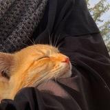 ﮼رِهام،عبد الباسِط .