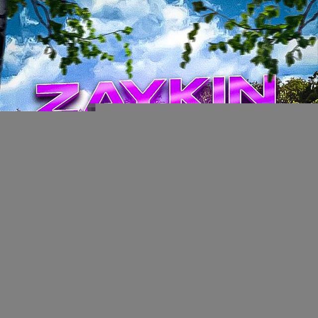 луганский zaykin