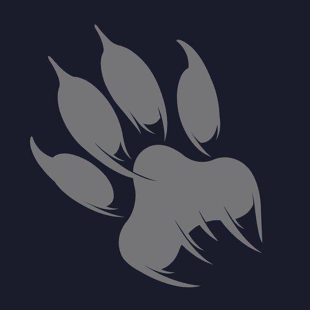 FX DREAM | Gosibi