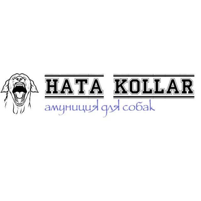 HATA KOLLAR||амуниция для собак