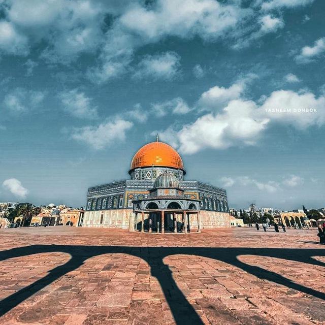 •تصميم فيديوهات فلسطينية• 💚 اقتباسات فلسطينية ❤️🫂