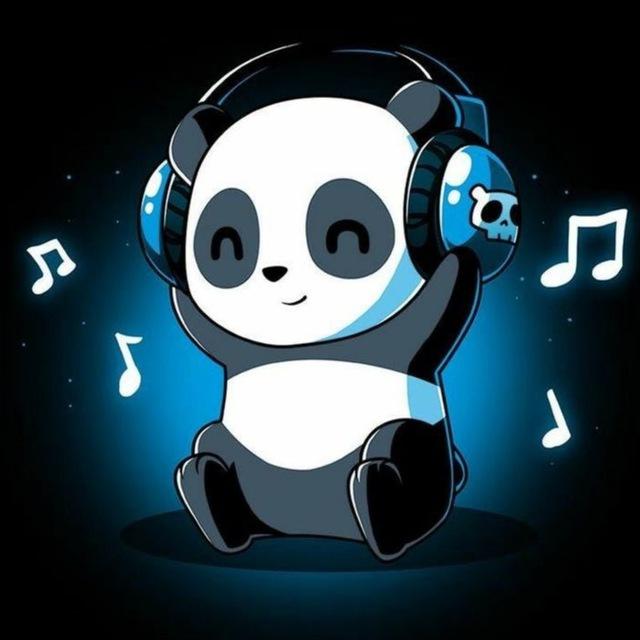 Pandaw MUSIC🪩🎧