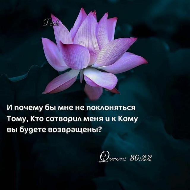 ДУА НА КАЖДЫЙ ДЕНЬ