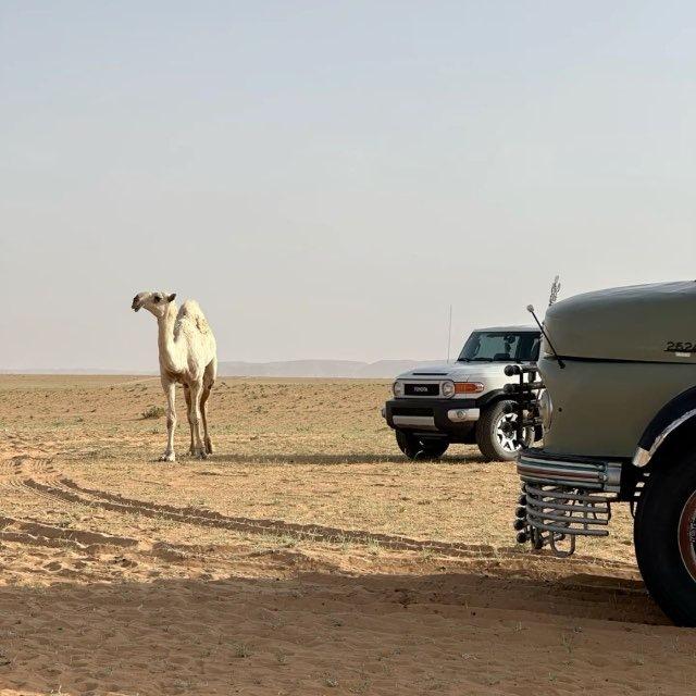 فـذّ