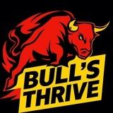 Bull's Thrive Crypto